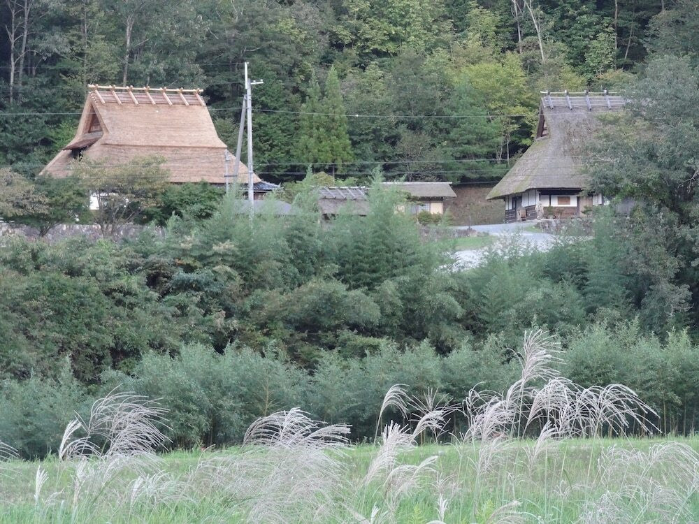 マウンテン ビュー