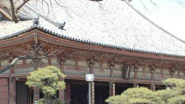 観光スポット / 5