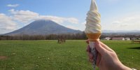 【ニセコ】ペットと一緒にドライブ旅♪ペット同伴可の美味しいグルメスポット8選