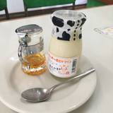 伊豆手作り菓子工房グリーンヒル土肥（イズテヅクリカシコウボウグリーンヒルドイ）