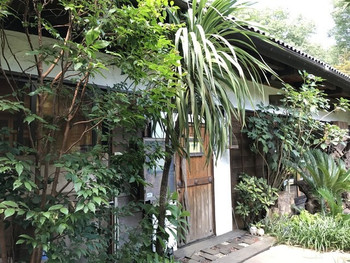 「うえき屋カフェ272」 外観 73253317 