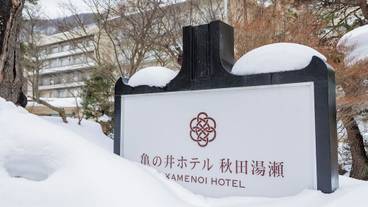 外観 / 4