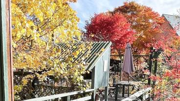 ガーデン ビュー / 5