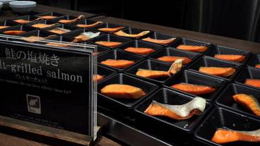 朝食ビュッフェ / 14