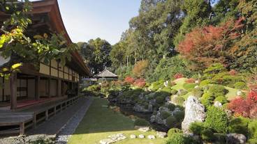 シティ ビュー / 22