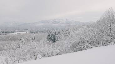 メイン イメージ / 1