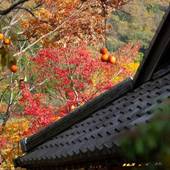 由布院温泉 湯布院 山灯館（大分県 旅館） / 3