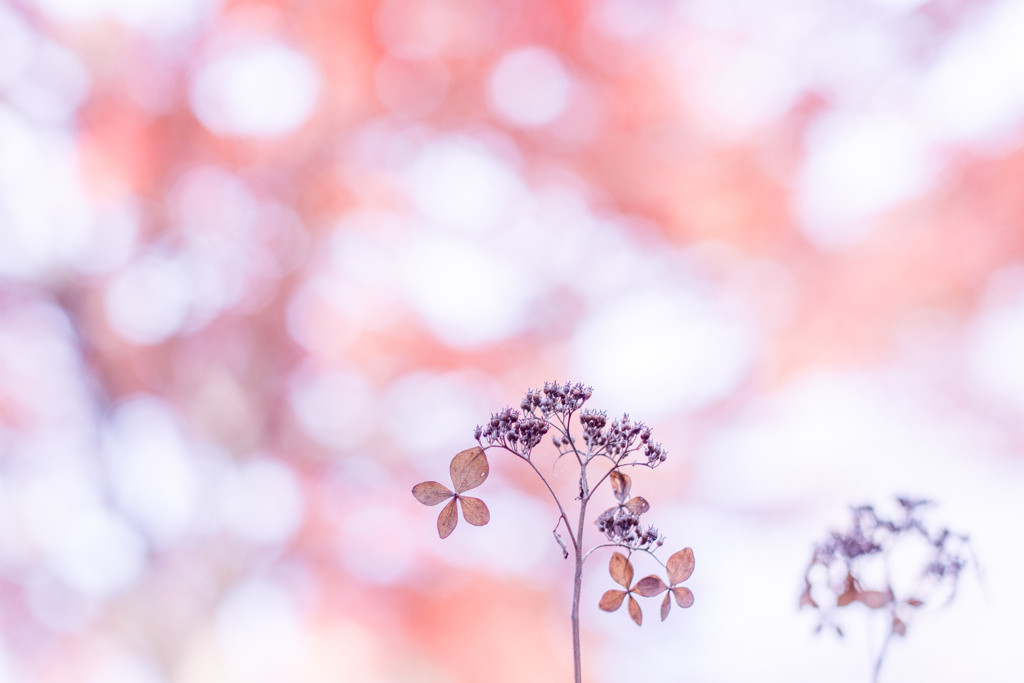 仙台でまったりひとり旅を楽しもう3513383