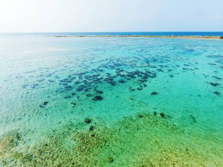 Blue Steak Wonder Senaha Okinawa Yomitan / 5