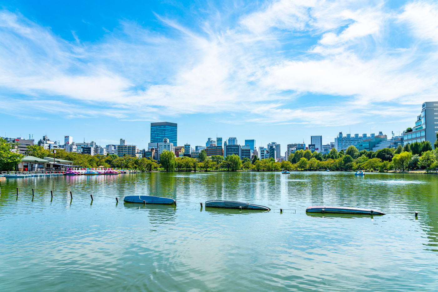 【東京都】上野恩賜公園の不忍池から見える都会のビル群