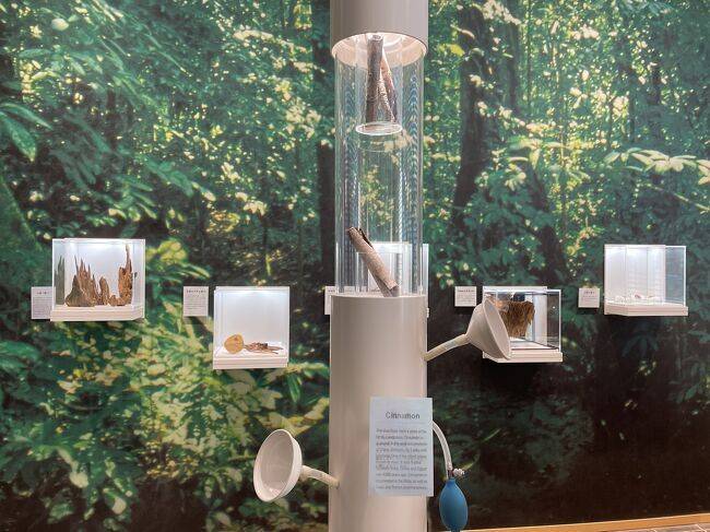 体験施設「薫習館」で
和の香りに触れる / 2