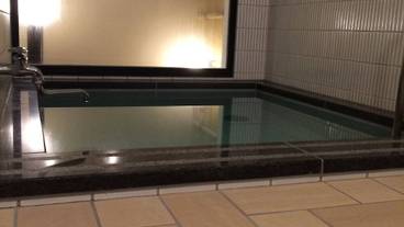 屋内スパ浴槽 / 1