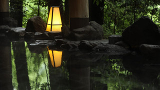 [山側眺望] 純和風客室 (和室12.5畳) (スタンダード)