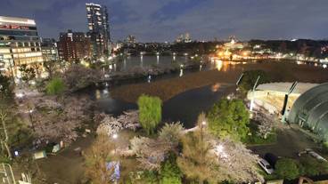 観光スポット / 9