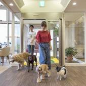 伊豆高原わんわんパラダイスコンドミニアム（静岡県 リゾートホテル） / 3