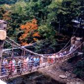 湯西川温泉 本家伴久（栃木県 旅館） / 3