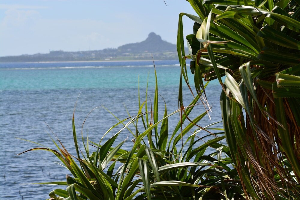 4.のどかな地元集落になじむ宿『古民家 かねや』【本部町】3950052