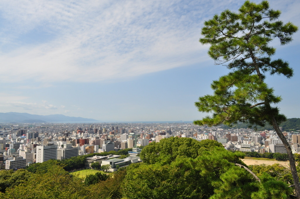 愛媛を最大限に楽しんで♪4084624