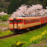 レストラン列車！いすみ鉄道「レストラン・キハ」【千葉】