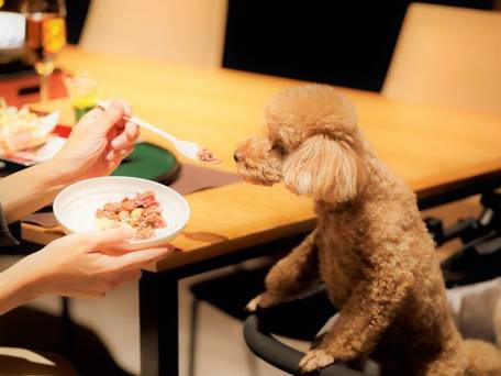 レジーナリゾート旧軽井沢 / 3