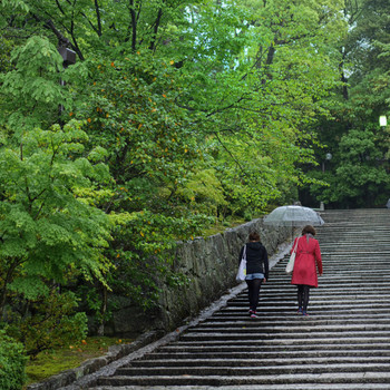知恩院【和順会館】3907893