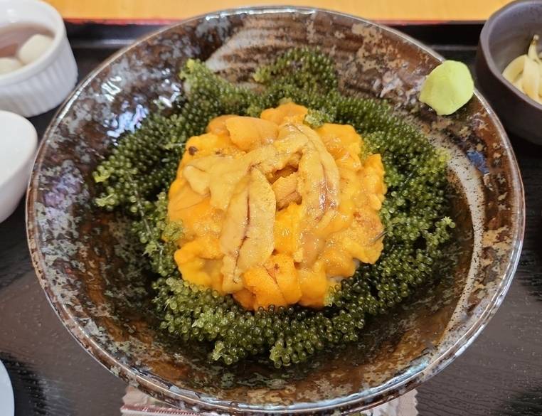錦屋 ウニ海ぶどう丼 / 1