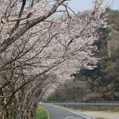 湯郷温泉 花の宿 にしき園(岡山県 旅館) / 4
