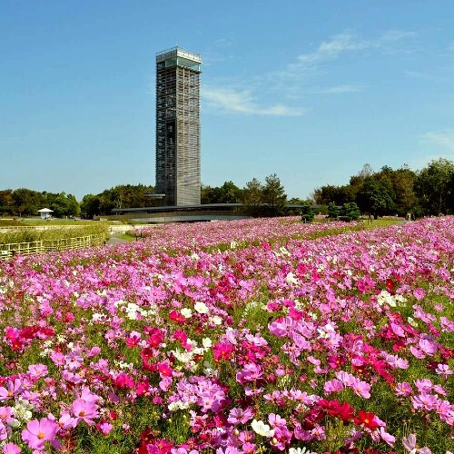 Hamanako Garden Park