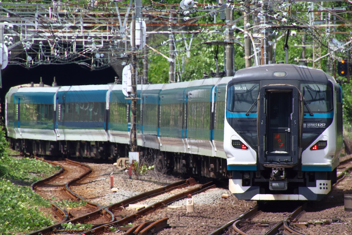 来宮駅に到着する伊豆急電車