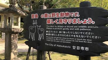 観光スポット / 11