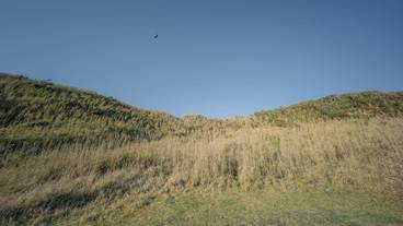 ランド ビュー / 10