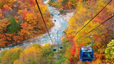 観光スポット / 12