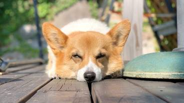 施設内の設備 / 6