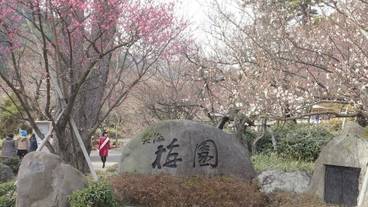 観光スポット / 4