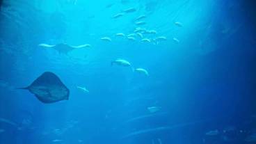 観光スポット / 27