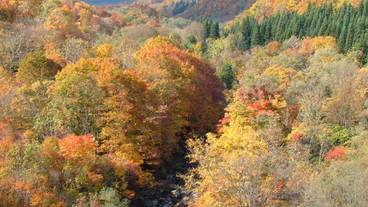 ハイキング / 16