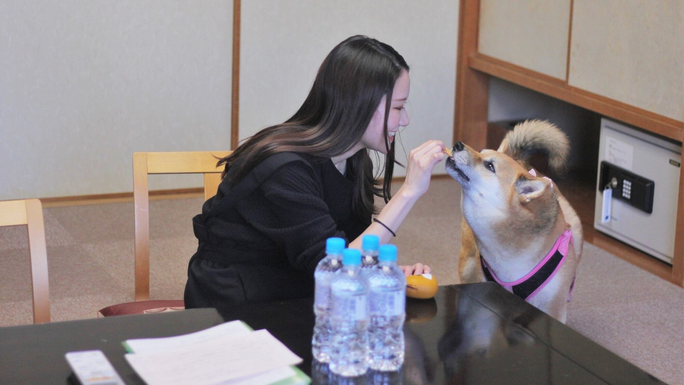 100万坪の大自然の中で愛犬と一緒にリフレッシュ4240511