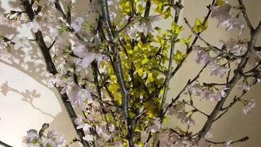 部屋からの景観 / 28