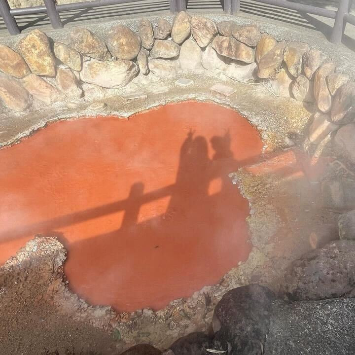 _____7na7さんの写真 / 3