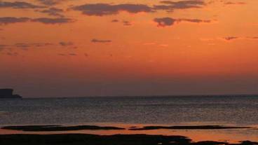 ビーチ / オーシャン ビュー / 7