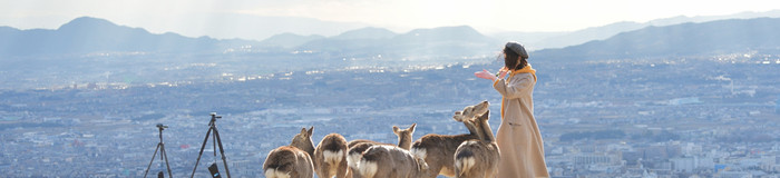 【奈良】女子一人旅で泊まりたいホテル｜おしゃれな “だけじゃない” 6選