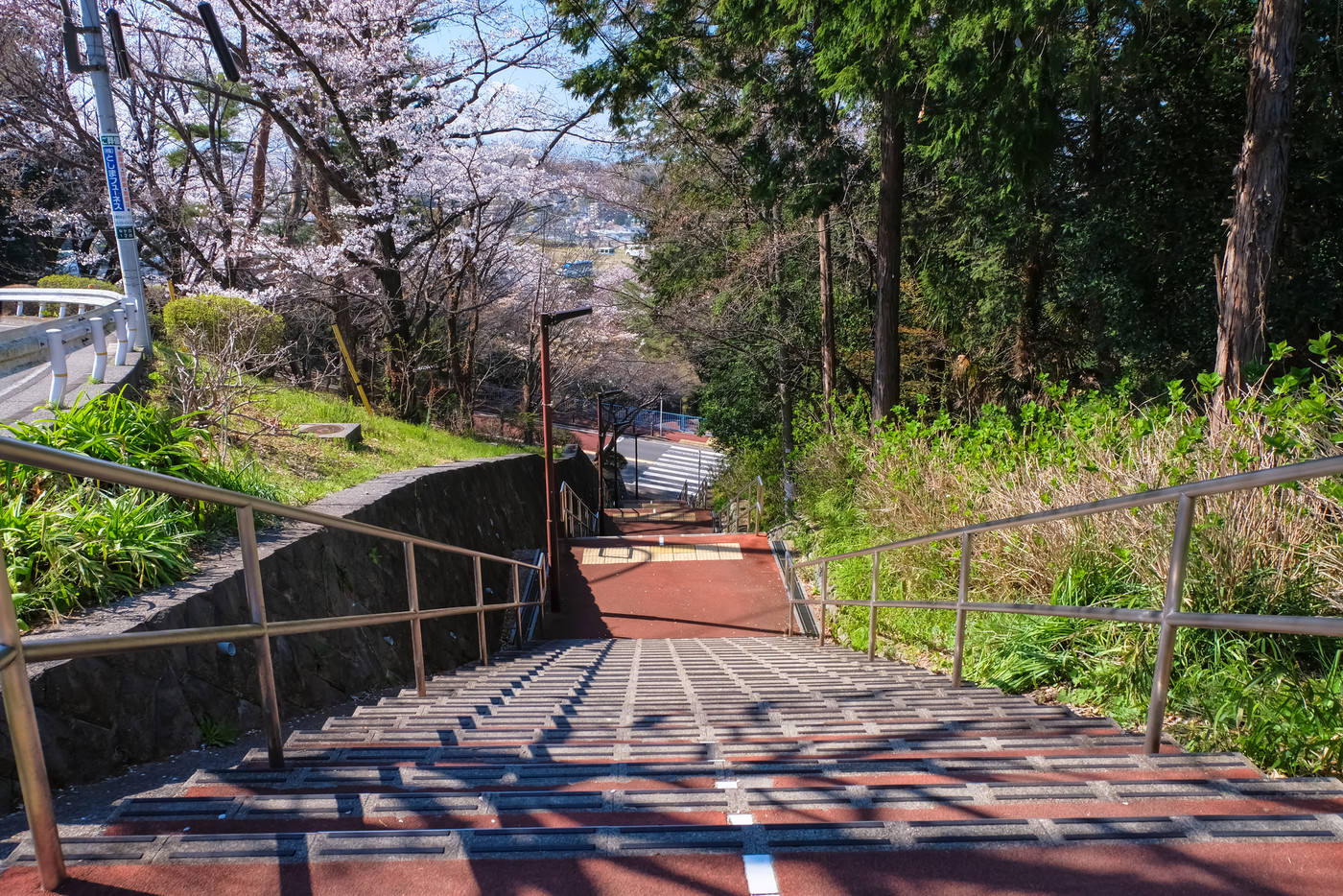 聖蹟桜ヶ丘 いろは坂 階段 春