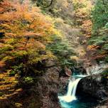 山梨・森林浴スポット！森と清流が織りなす風光明媚な「西沢渓谷」見どころ紹介
