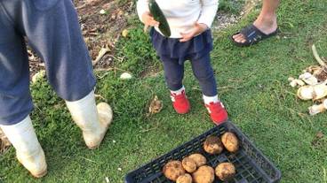 バーベキュー / ピクニック エリア / 32