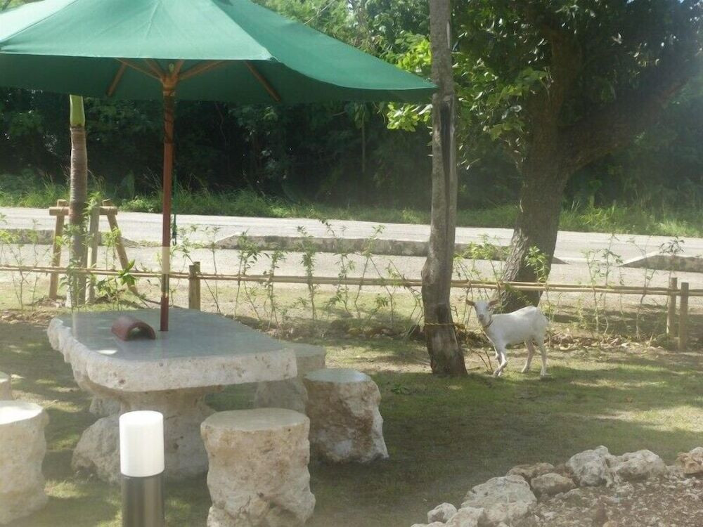 屋外ダイニングエリア