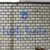 Little Birds Hostel 近江八幡（滋賀県 ゲストハウス・ホステル・ドミトリー） / 4