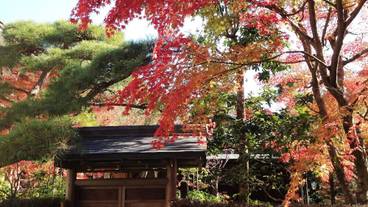 観光スポット / 3