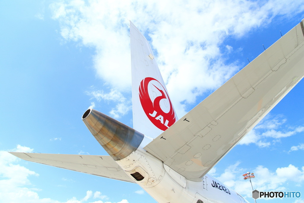 飛行機でひとっ飛び!3942351