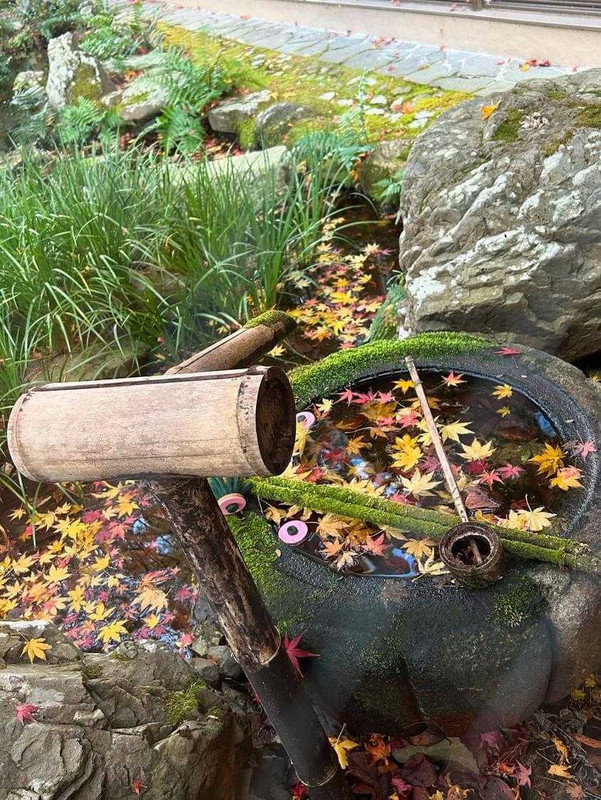 ks47travelさんの写真 / 1