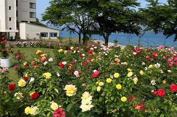 8. 景色も◎ バラ尽くしのロマンチックな宿「田沢湖ローズパークホテル」4038648